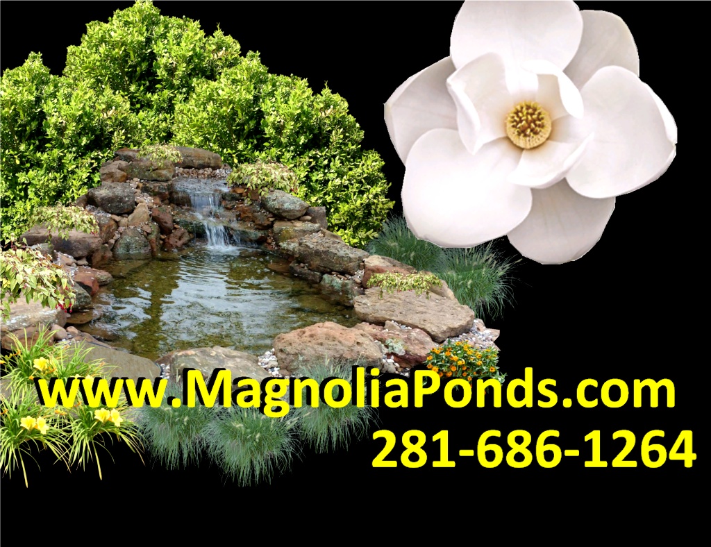 Ponds, Water Gardens, LandscapingPonds, Water Gardens, landscaping, koi